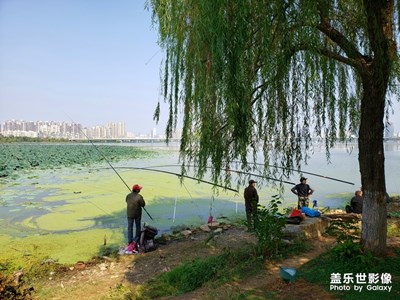 【享拍一刻】+垂釣眾生相