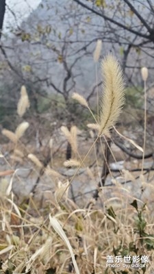 【享拍一刻】+路邊小憩