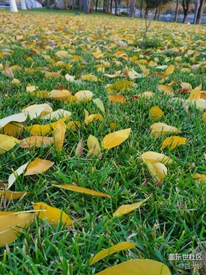 秋已盡，冬來臨……