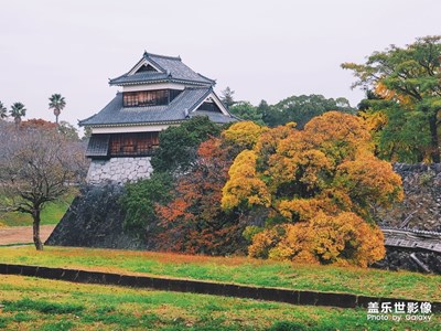 11月的林林總總