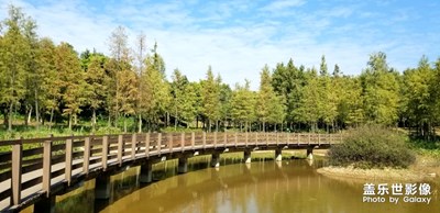 【享拍一刻】一路靚景