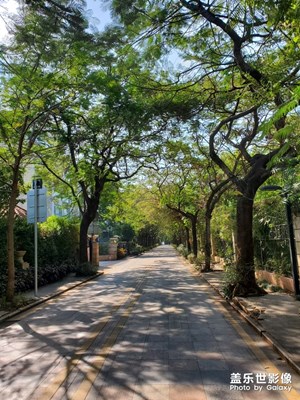 【初冬印象】+ 暖暖的太陽