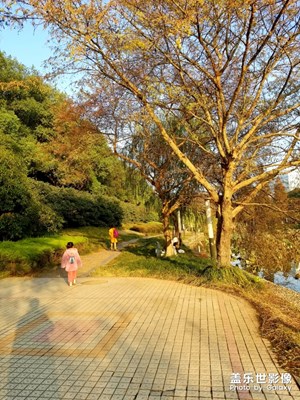 【初冬映象】父母操點心吧