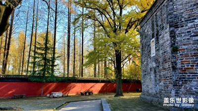 光影的故事！