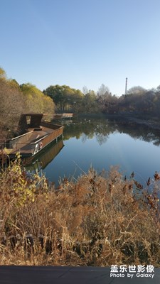 我用s10的風(fēng)景照。