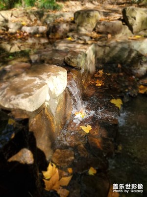 【2019最美瞬間】之最具幸福感城市---杭州