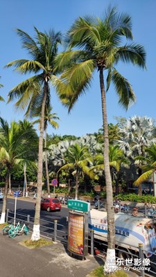 海口的街景
