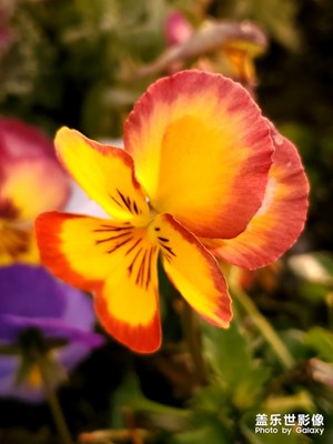 【2019最美瞬間】留住你最溫暖的記憶