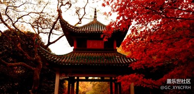 【2019最美瞬間】+全國四大賞楓基地-岳麓山的楓葉