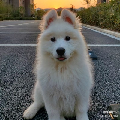 相機(jī)直出分享