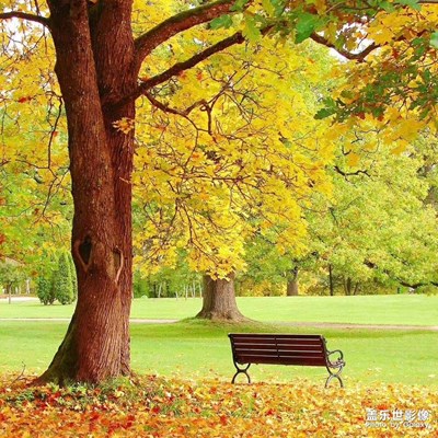 青春是青春。