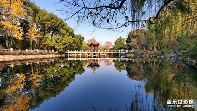 【2019最美瞬間】+嘉定古漪園