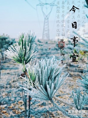 貳零壹九---初霜