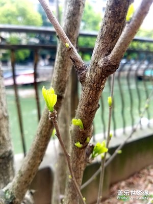 【2019最美瞬間】

春秋留念