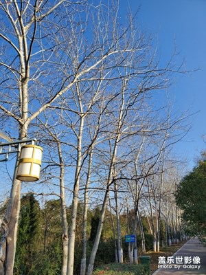 【2019最美瞬間】+北方的冬日