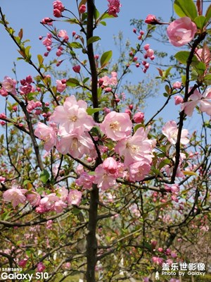 【2019最美瞬間】生活點(diǎn)滴