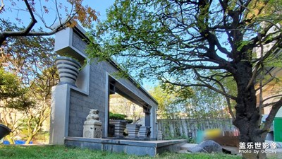 手機(jī)拍庭院