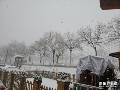 鵝毛大雪