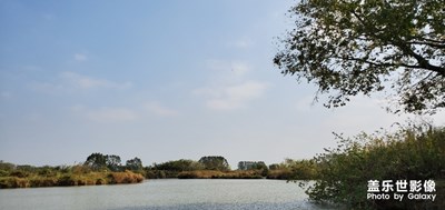 鶴山古勞水鄉(xiāng)