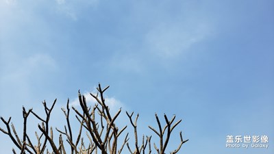 【2019最美瞬間】佛山美的鷺湖森林度假區(qū)