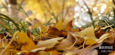 【2019最美瞬間】+我的2019