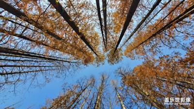 2019的初冬，用手機去記錄身邊的最美瞬間。