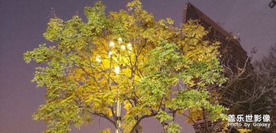 上班無聊? ??玩下手機