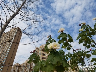 【美麗的云】+看云卷云舒