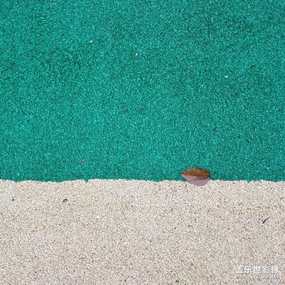 【2019最美瞬間】+ 三星s9+隨手拍