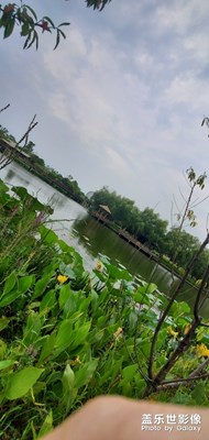 美麗張家港 夜晚了 你還好嘛