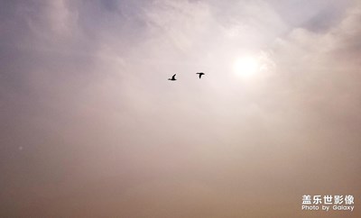 【美麗的云】+若隱若現(xiàn)