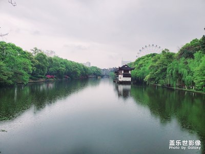 【2019最美瞬間】游·園景，風(fēng)光無(wú)限美