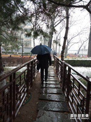 【圣誕節(jié)】雪中情