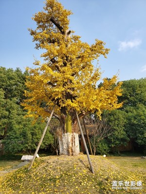 姑蘇城外寒山寺，夜半鐘聲到客船