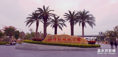 【2019最美瞬間】2019最后兩天湊數(shù)