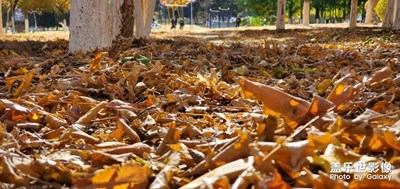 街景隨手拍－遼寧朝陽