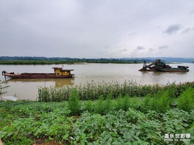 【你好2020】+平淡的2019