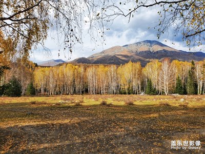 【你好2020】+2019，出去走走