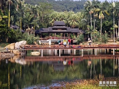 【你好2020】+游青秀山公園