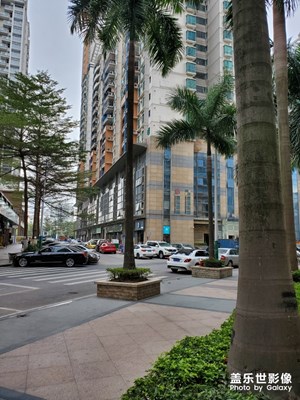 【大街小巷】+ 家周邊