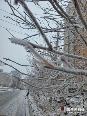 微距鏡頭