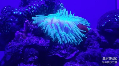 青島行之海底世界