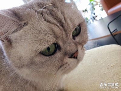 凜冽的寒風(fēng)中拍個海景