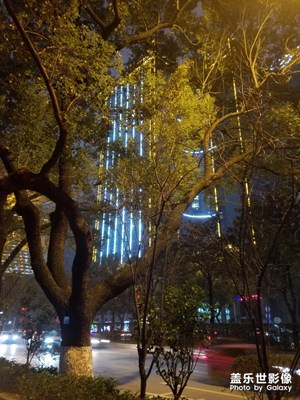 【明亮的夜】+寒夜