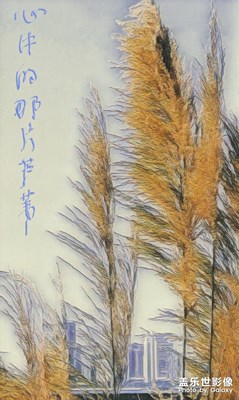 note9、note10拍照對(duì)比