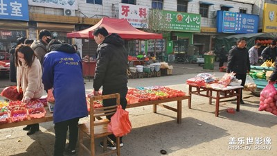 【鼠年吉祥】+ 趕年集辦年貨