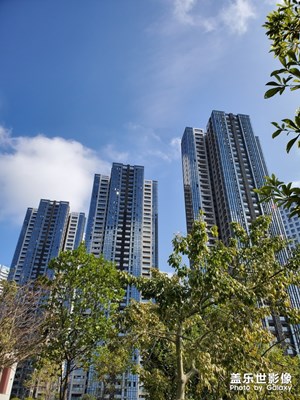 【鼠年吉祥】+鵬城過鼠年