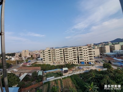 【鼠年吉祥】+歡天喜地過大年