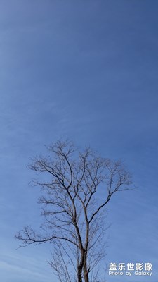過(guò)年，回村兒