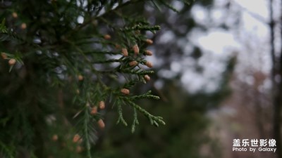Day03祝大家新年快樂